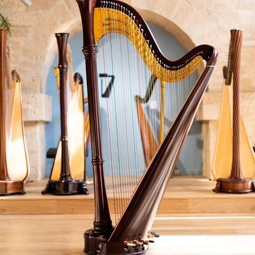 [À ÉCOUTER] Fermez les yeux, libérez vos pensées et laissez-vous emporter par ce chef-d'œuvre interprété à la harpe 🎵
...